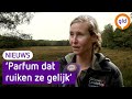 Dit is het moment om wild te spotten!