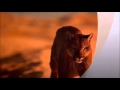 Best Arabic Music Ever Best Arabic Music Ever