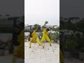 Mariyamma Mariyamma Song Karakaatakaran Dance Aadivelli Amman Mariyamma Shorts Trending Dance