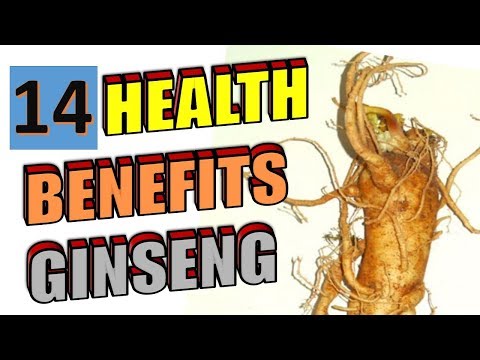 Panax Ginseng Extract