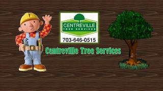 Centreville Tree Services | 703-646-0515