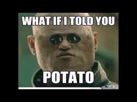 What if i told you potato.