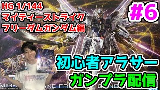 【ガンプラ】初心者アラサーがガンプラを組む【HG 1/144 マイティーストライクフリーダムガンダム編】part6【完】