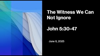 The Witness
