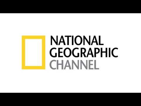 Motion Graphic Nation Geographic Oktopis Design