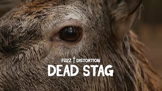 Video thumbnail for KMA Machines - Dead Stag Teaser by KMA Machines