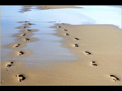 Wie folge ich Jesus nach?