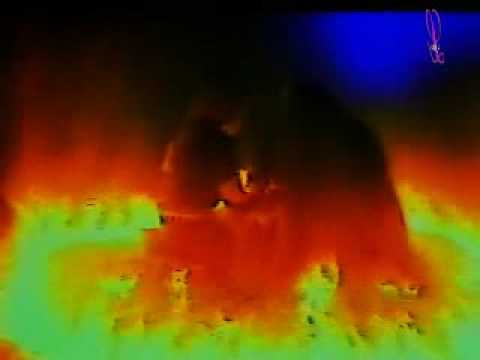 Волшебный кролик (L_EGION-demonMIX)