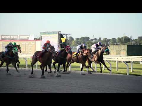 220219 c08 - 1° DANDO FILHA - HIPODROMO DE MAROÑAS