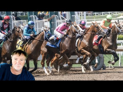 GAMINE IS BACK IN THE GREAT LADY M STAKES