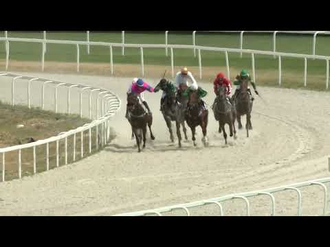 2022.08.07. 01. futam - VADÁSZ ÉS VERSENYLAP HENDIKEP (V/b.) (szintetikus pálya)