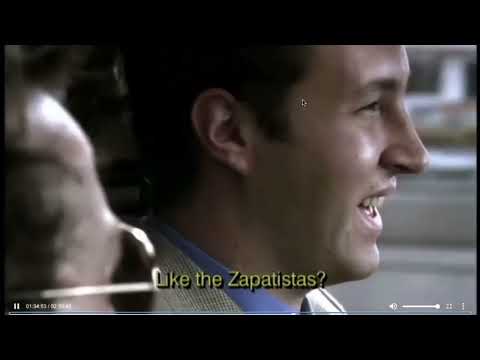 amores perros video essay