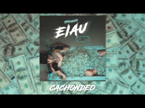 TPRINCEY - CACHONDEO (PROD NAGUAL) (AudioOficial)