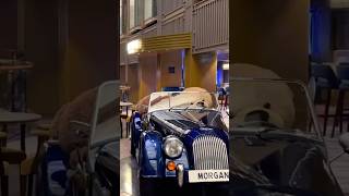 Freedom of the Seas 🎰 Quick Smoke Free Casino Walkthrough