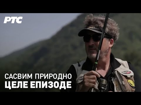 Svetski prvak Gica | Sasvim prirodno (Jovan Memedović) - Cele epizode