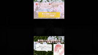 【活動6周年記念カウントダウン企画】ニコニコ動画TOP10【#歌ってみた 】【#鈴白ちょこる 】#cover #歌い手 #まとめてみた #short #shorts