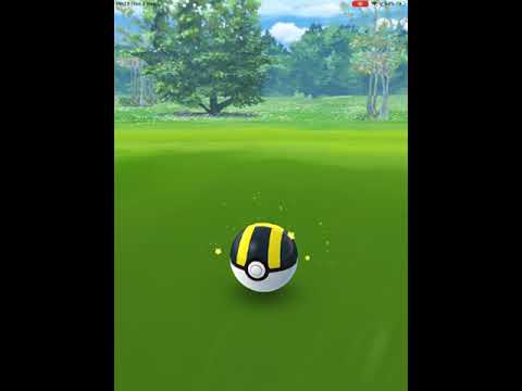 Relicanth 100 Lv. 35 pl 2348