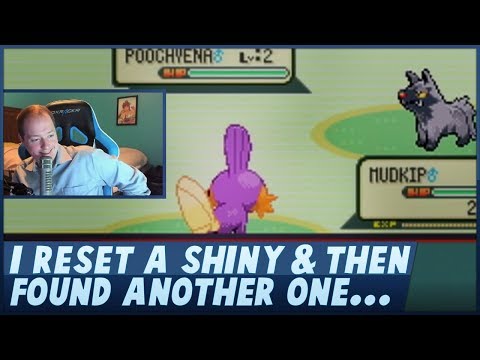 I Accidentally Reset A Shiny Mudkip & Found Another Shiny Immediately After!