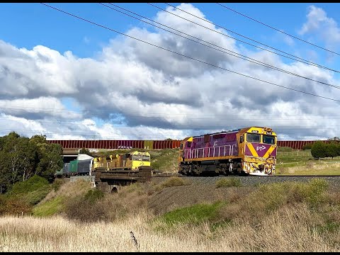 Daytime and nighttime freight, passenger and LE movements in Geelong 20/5/23