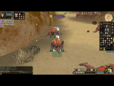 Let´s Play Insanity Flyff E023 -  Die Gilde