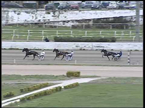 Trotto 05/02/2015 - 1° Prova di qualifica