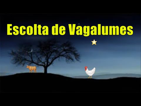 Escolta De Vagalumes video