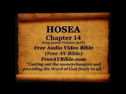 28. Hosea Complete 1-14, King James Version (KJV) Free AV Bible Read Along Bible Narration 2