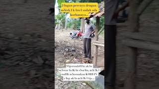 Download lagu 🔴p3ngint4ian, m4rk4s p3nipu y4ng ad4 di teng4h hut4ng‼️ mp3