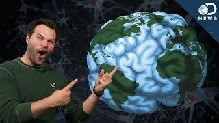 How Does Your Brain's GPS Work?