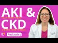 Acute Kidney Injury AKI Chronic Kidney Disease CKD Pediatric Nursing LevelUpRN