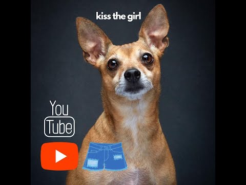 Singing Dog weighs in on lyric changes in the new Little Mermaid😂🧜🏻‍♀️