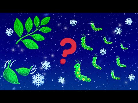 My "secret" winter food for Eri silkworms | Samia ricini