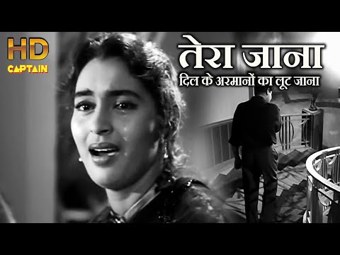 Pagal Tera Jana