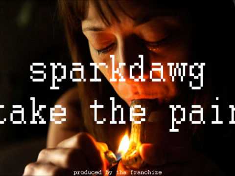 SparkDawg - Take The Pain (Song Cry 2k12) prod by Tha Franchize [AUDIO]