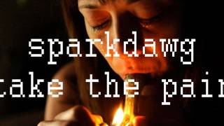 SparkDawg - Take The Pain (Song Cry 2k12) prod by Tha Franchize [AUDIO]