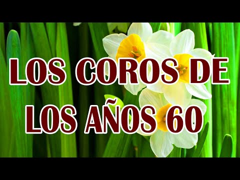 Los Coros De Los Años 1960 - Coritos Antiguos Bonitos Para Gozarse En La Presencia De Dios