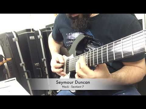 DiMarzio VS Seymour Duncan