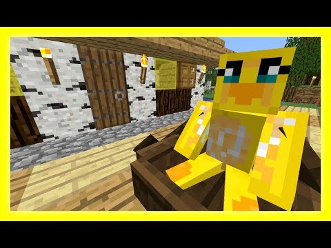 Feather Adventures : BOAT SAFARI  - {256}