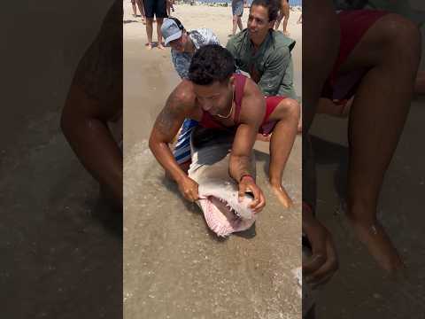✅Hook Removal and Release✅ #shorts #fish #fishing #florida #longisland #ny #shark #beach