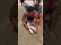Hook Removal And Release Shorts Fish Fishing Florida Longisland Ny Shark Beach