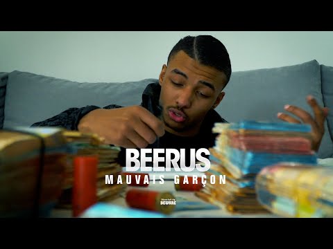 Beerus - Mauvais garçon