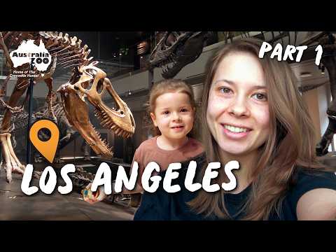 We Arrive in LOS ANGELES! | LA Vlog Part 1