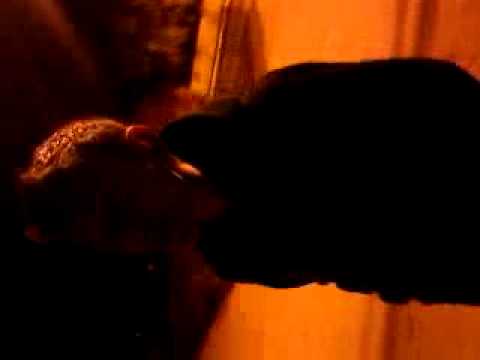 vasilica draganescu(CAP)