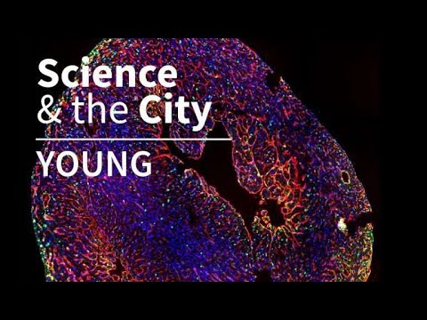, title : 'ICGEB Science & The City Young -Tumori contagiosi, vaccinarsi si può'