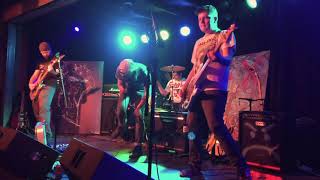 Cool Tapes-nosering girl (Nerf Herder)