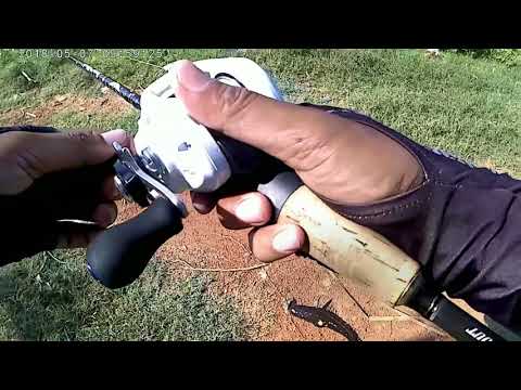 STEPHANO Ci4 in action