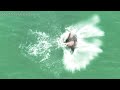 Spotted Eagle Rays By The Beach & a Rarely Recorded Spotted Eagle Ray Jumping