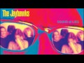 Jayhawks - Sound of Lies