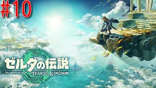 【ゼルダの伝説 ティアーズ オブ ザ キングダム】 #10