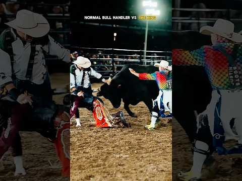 Normal bull handler vs the king 🐂👑